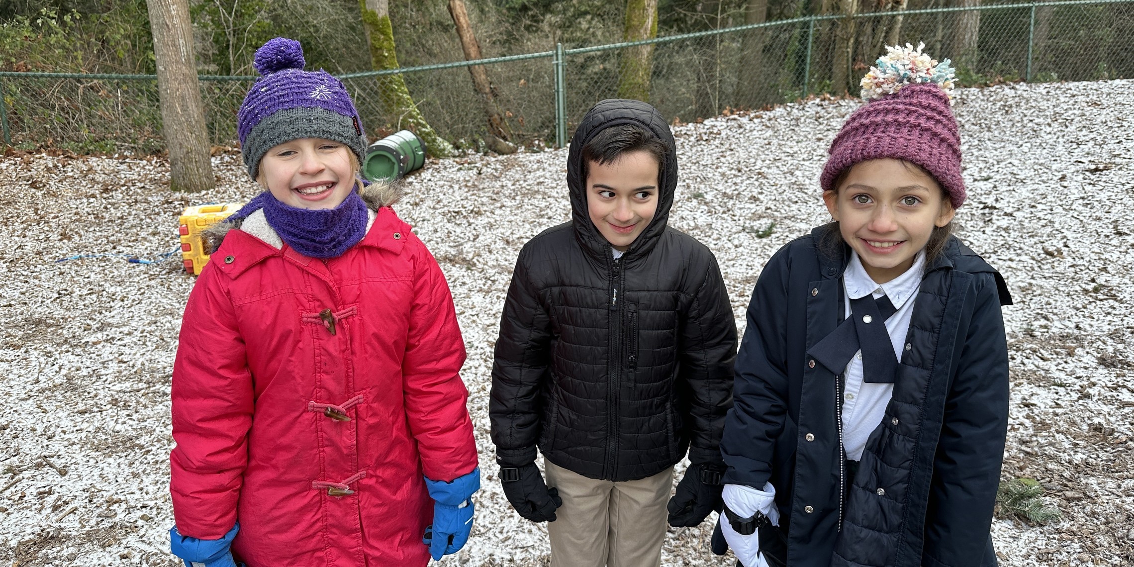 Snow Day